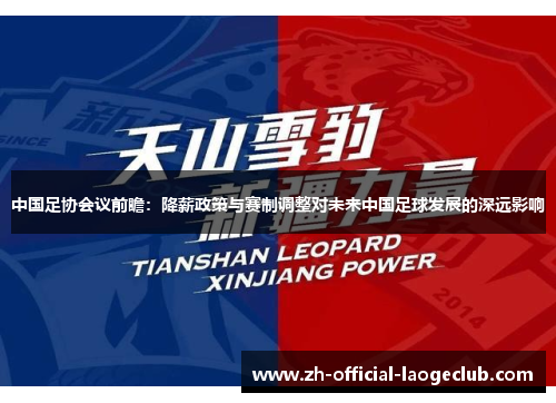 中国足协会议前瞻：降薪政策与赛制调整对未来中国足球发展的深远影响
