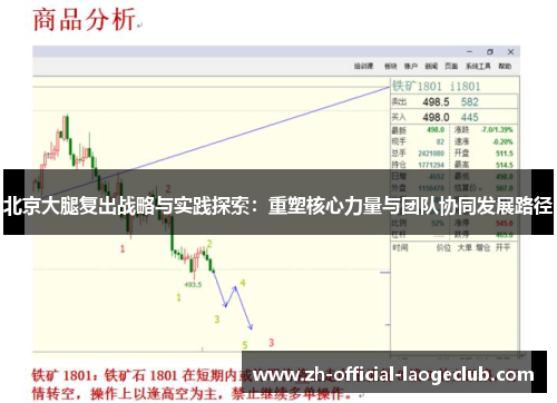 北京大腿复出战略与实践探索：重塑核心力量与团队协同发展路径