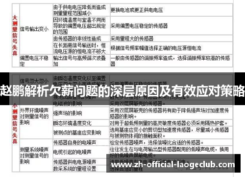赵鹏解析欠薪问题的深层原因及有效应对策略